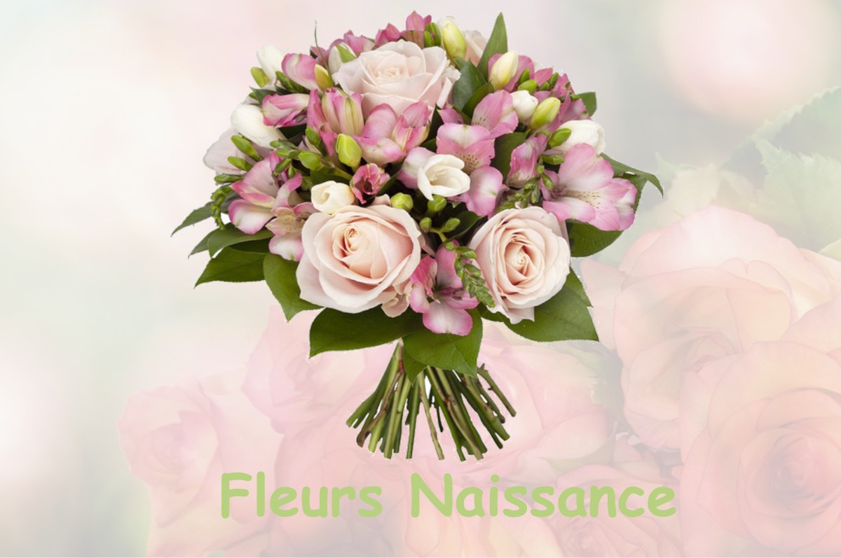 fleurs naissance SONCOURT-SUR-MARNE
